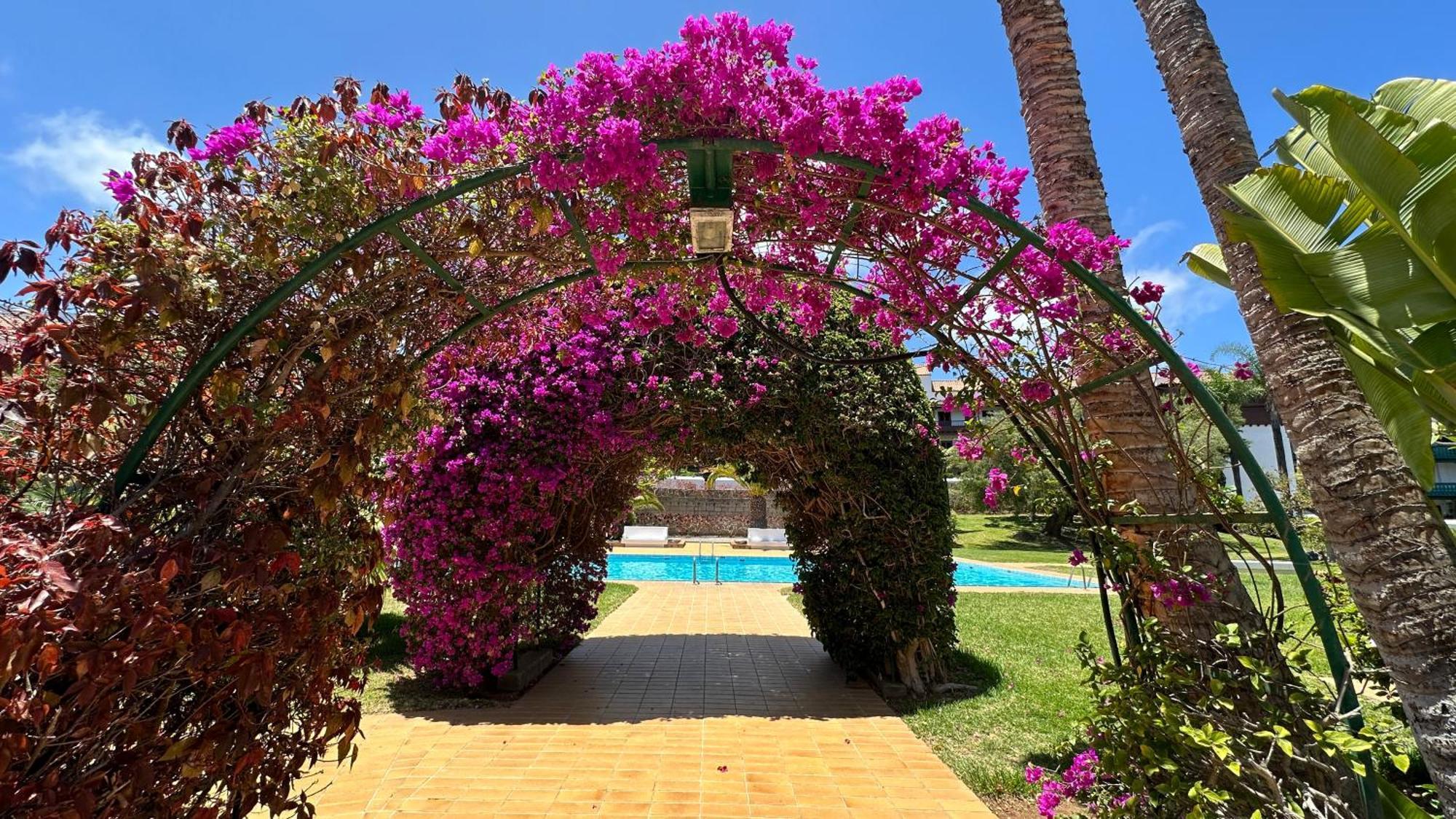 Appartamento El Tajinaste III Puerto de la Cruz  Esterno foto